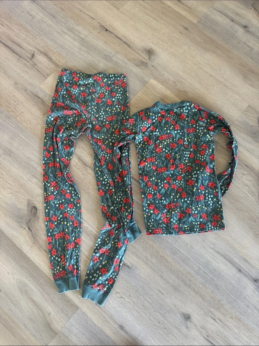 Hanna Andersson Green Floral Long Sleeve Pajama Set with Red Flowers